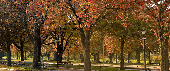 Flushing Park